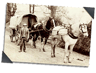 horse and cart