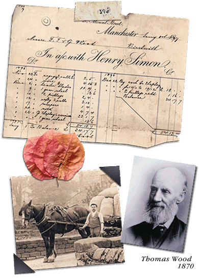 1800 images